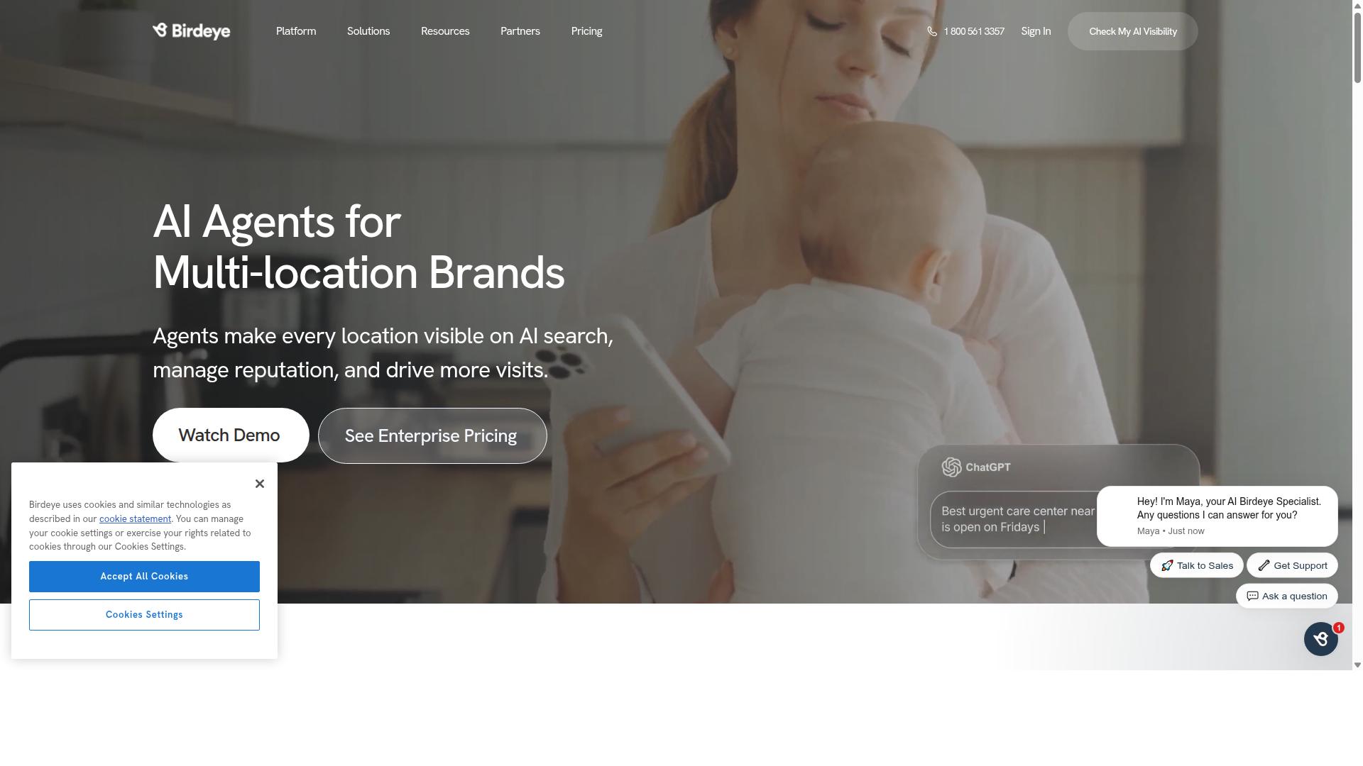 Birdeye website